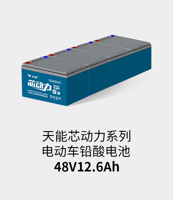 必发www.7790cnm.com电池48v12ah