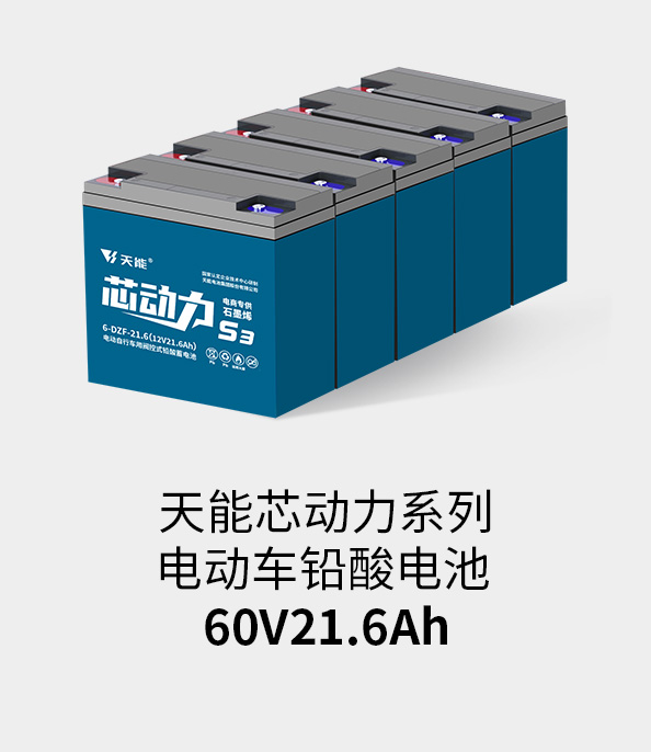 必发www.7790cnm.com电池60v20ah