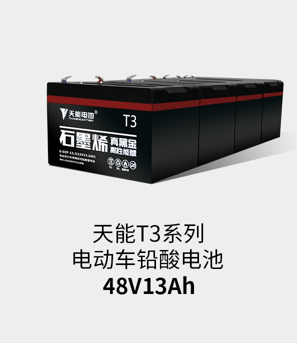 必发www.7790cnm.comT3系列48v13ah